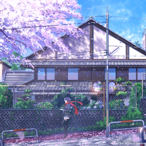 黄片无码免费看
